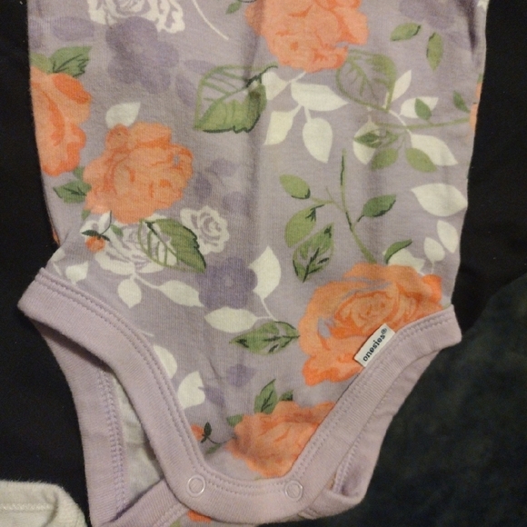 Cloud Island Floral and Patterned Bodysuits - Pink, Purple, White - Picture 12 of 13